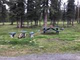Mile 81 Richardson Highway - Photo 38