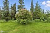 10121 Middlerock Road - Photo 120