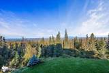 10121 Middlerock Road - Photo 96
