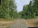 70251 Parks Highway - Photo 28