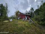 70251 Parks Highway - Photo 6