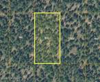 Tr K Alexander Creek Road - Photo 1