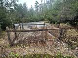 12 Mile Zimovia Highway - Photo 54