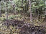 12 Mile Zimovia Highway - Photo 58