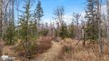 26986 Talkeetna Spur Road - Photo 49