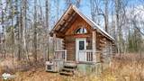 26986 Talkeetna Spur Road - Photo 5