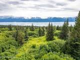 36484 Wild Haven Road - Photo 4