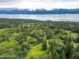 36484 Wild Haven Road - Photo 5