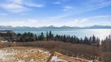 725 Sterling Highway - Photo 6