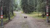 L28 Silver Springs Loop - Photo 34