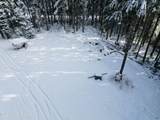 L5 Harris River Road - Photo 25