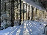 L5 Harris River Road - Photo 29