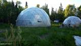 42785 Siira Street - Photo 6