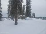 L11 Tolsona Lake Road - Photo 64
