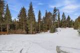 73622 Twin Peaks - Photo 53
