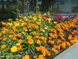 4300 B Street - Photo 15