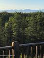 37905 Hall Road - Photo 95