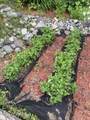 6990 Windsor Drive - Photo 54