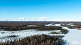 6080 Petersville Road - Photo 1