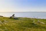36155 Reef Drive - Photo 73