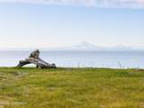 36155 Reef Drive - Photo 74