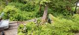 NHN Eastern Passage - Photo 18