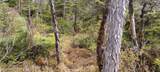 NHN Eastern Passage - Photo 19