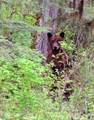 NHN Eastern Passage - Photo 22