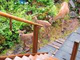 NHN Eastern Passage - Photo 24