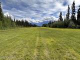 NHN (Nizina Road) Mccarthy - Photo 9