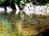 114 Zarembo Dr - Photo 12