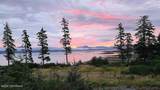 114 Zarembo Dr - Photo 44