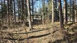 203 Benson Drive - Photo 10