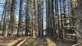 205 Benson Drive - Photo 14