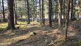 205 Benson Drive - Photo 8