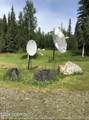 MP113 Taylor Highway - Photo 4