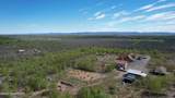 18098 Hines Road - Photo 88