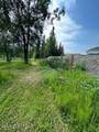 11A Debra Drive - Photo 10