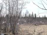 1731 Old Steese Highway - Photo 16