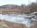 1731 Old Steese Highway - Photo 29