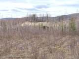 1731 Old Steese Highway - Photo 32