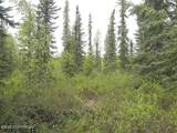 1731 Old Steese Highway - Photo 40