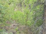 1731 Old Steese Highway - Photo 41