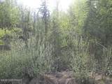 1731 Old Steese Highway - Photo 42