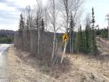 1731 Old Steese Highway - Photo 10