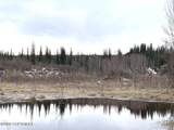 1731 Old Steese Highway - Photo 20