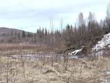 1731 Old Steese Highway - Photo 28
