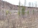 1731 Old Steese Highway - Photo 31
