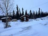 Mile 67.5 Tok Cuttoff Highway - Photo 19