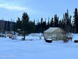 Mile 67.5 Tok Cuttoff Highway - Photo 20
